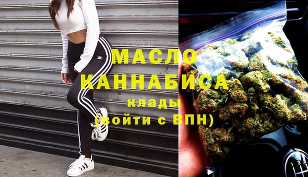 мет Алексин
