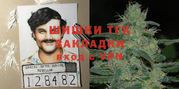 мет Алексин