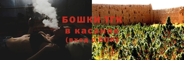 мет Алексин