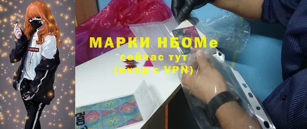мет Алексин